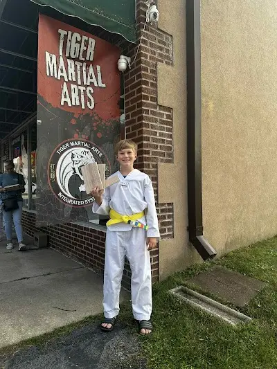 Tiger Martial Arts Integrated Systems BJJ Academy - photo 3