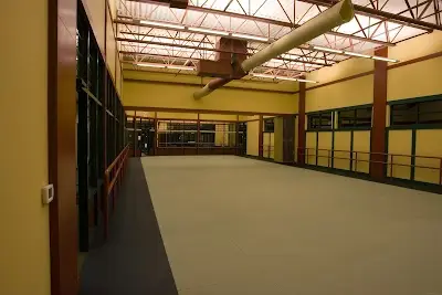 Tiger-Rock Martial Arts Academy BJJ Academy - photo 4