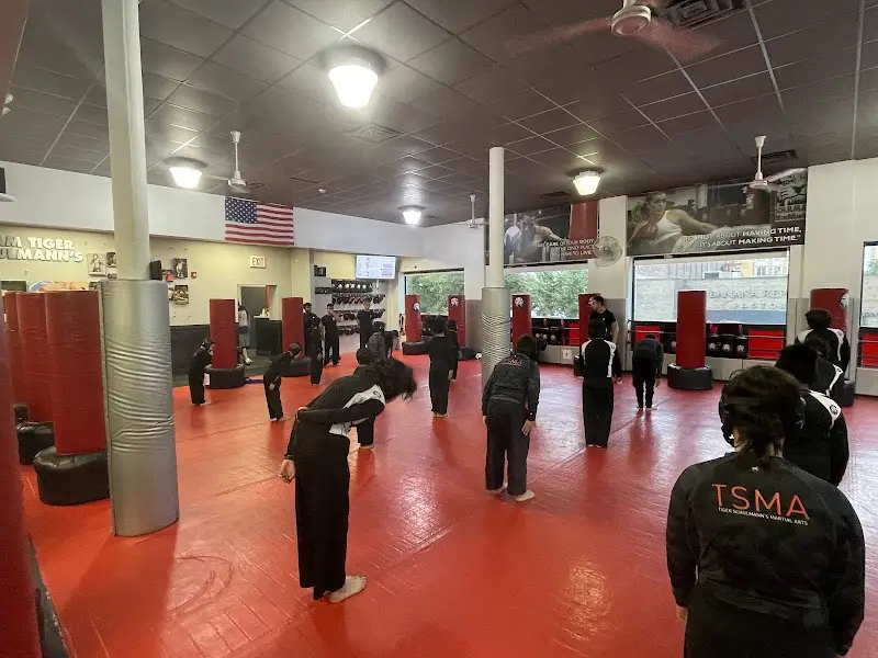 Tiger Schulmann's Martial Arts (Astoria, NY)