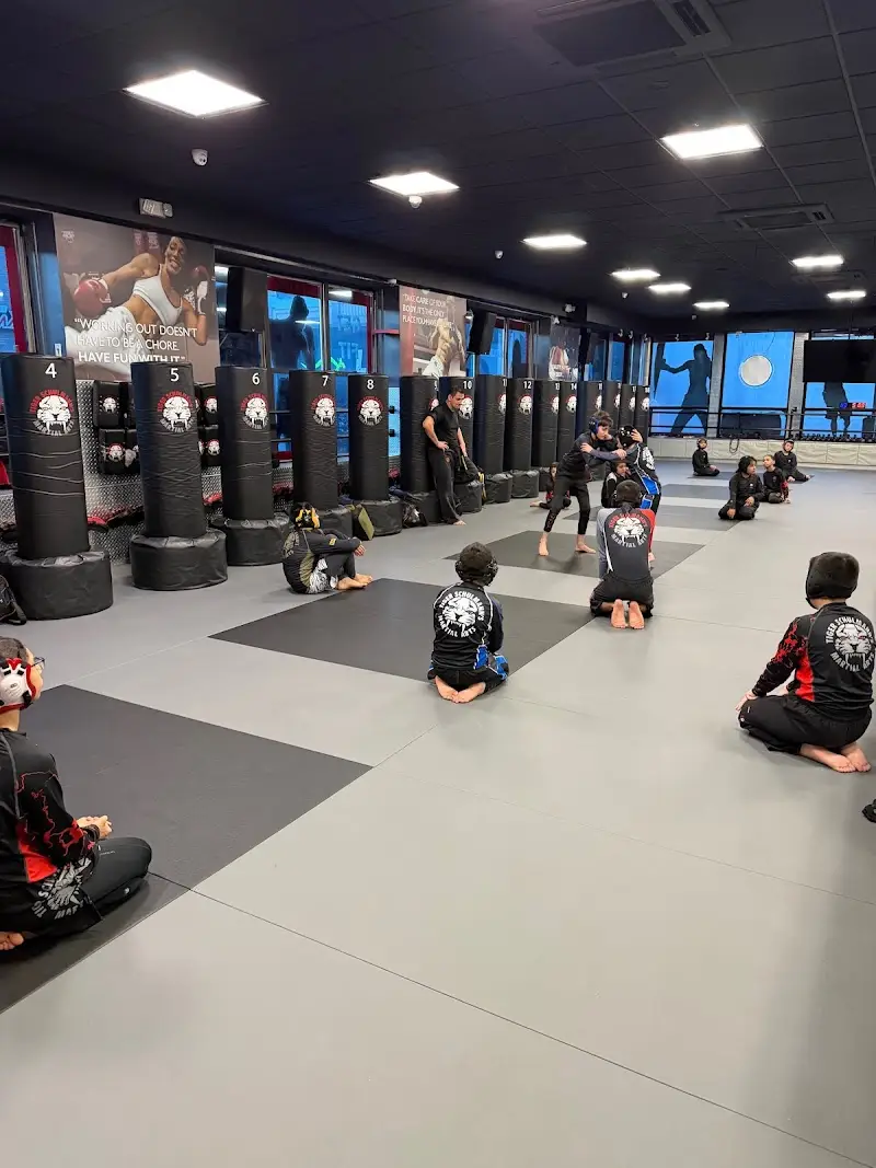 Tiger Schulmann's Martial Arts (Bay Ridge, NY)