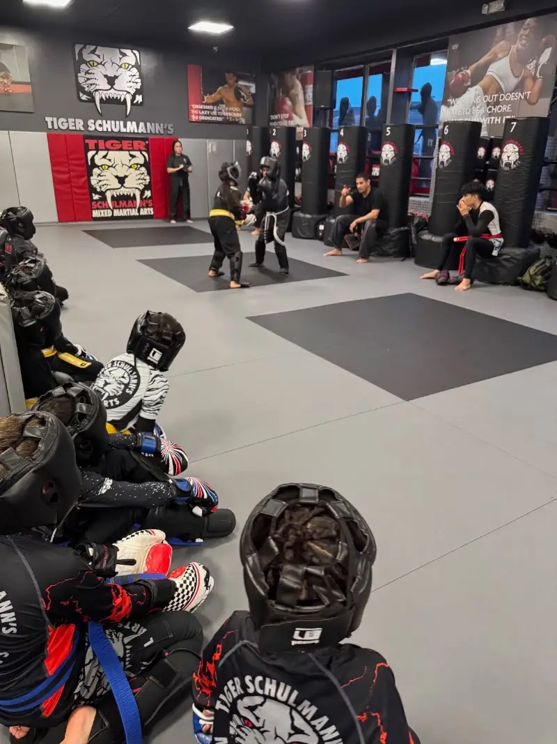 Tiger Schulmann's Martial Arts (Bay Ridge, NY) BJJ Academy - photo 2