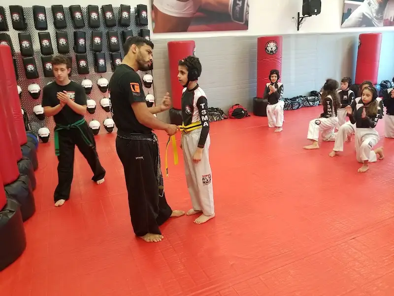 Tiger Schulmann's Martial Arts (Bayside, NY) BJJ Academy - photo 1
