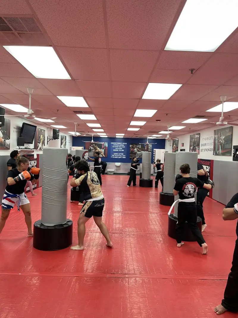 Tiger Schulmann's Martial Arts (Bethlehem, PA) BJJ Academy - photo 1