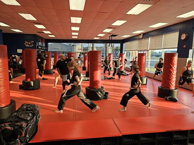 Tiger Schulmann's Martial Arts (Brick, NJ)