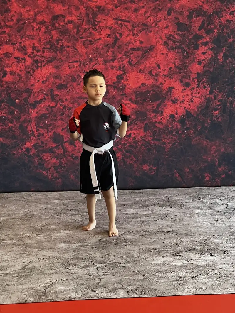 Tiger Schulmann's Martial Arts (Brick, NJ) BJJ Academy - photo 2