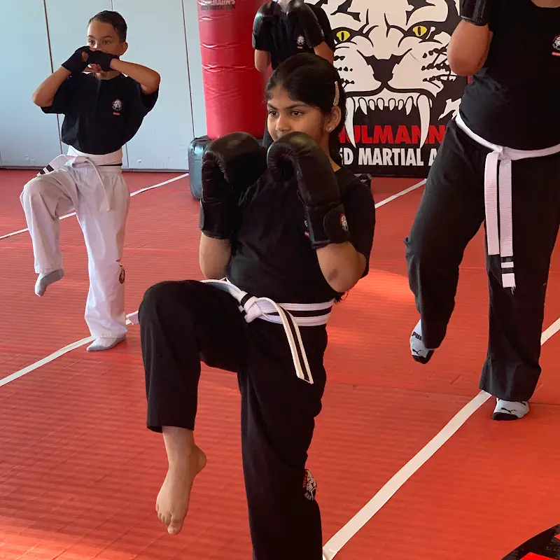 Tiger Schulmann's Martial Arts (East Brunswick, NJ) BJJ Academy - photo 1