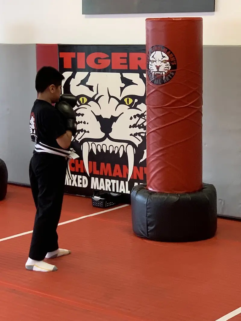 Tiger Schulmann's Martial Arts (East Brunswick, NJ) BJJ Academy - photo 2