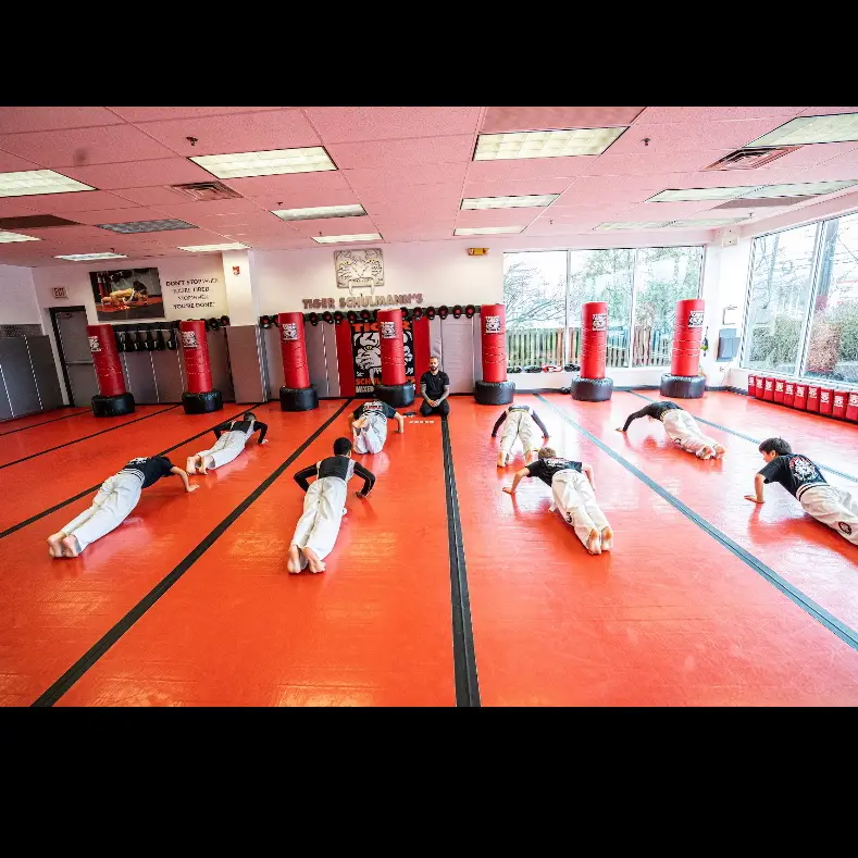Tiger Schulmann's Martial Arts (Eatontown, NJ) BJJ Academy - photo 1