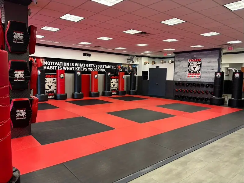 Tiger Schulmann's Martial Arts (Englewood, NJ) BJJ Academy - photo 1