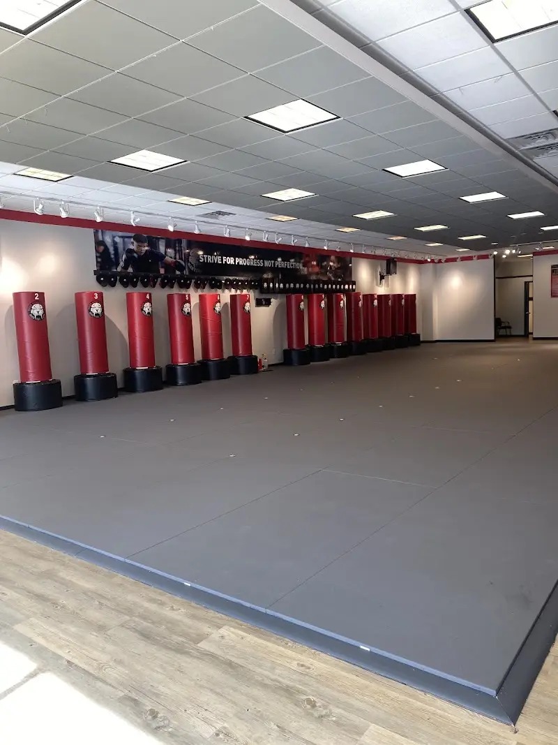 Tiger Schulmann's Martial Arts (Freehold, NJ)