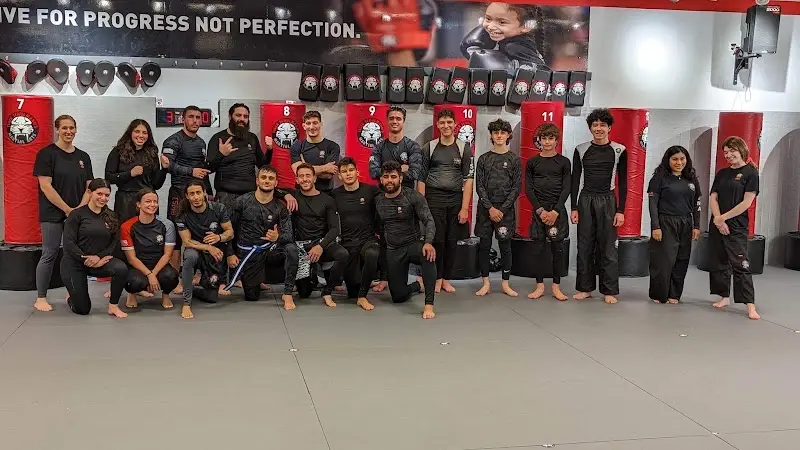 Tiger Schulmann's Martial Arts (Freehold, NJ) BJJ Academy - photo 2