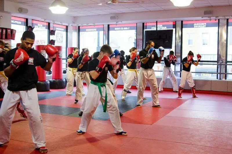 Tiger Schulmann's Martial Arts (Garden City, NY)