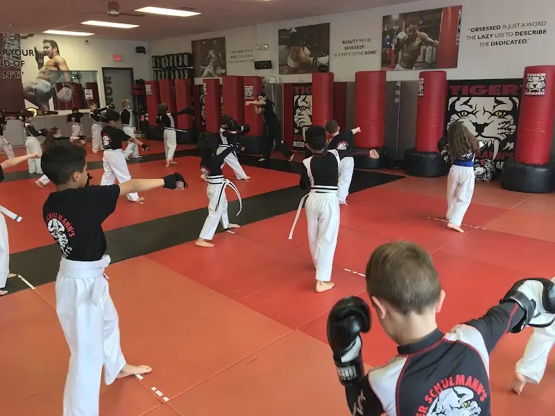 Tiger Schulmann's Martial Arts (Huntington, NY) BJJ Academy - photo 1