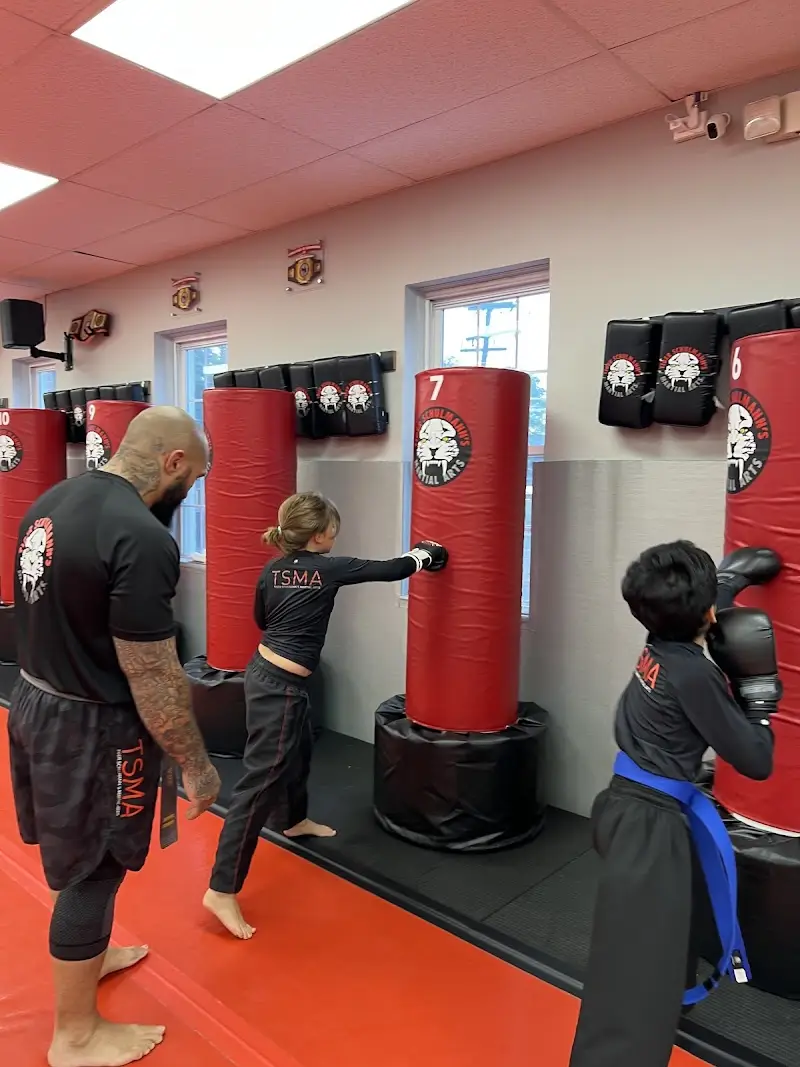 Tiger Schulmann's Martial Arts (Manhasset, NY) BJJ Academy - photo 1