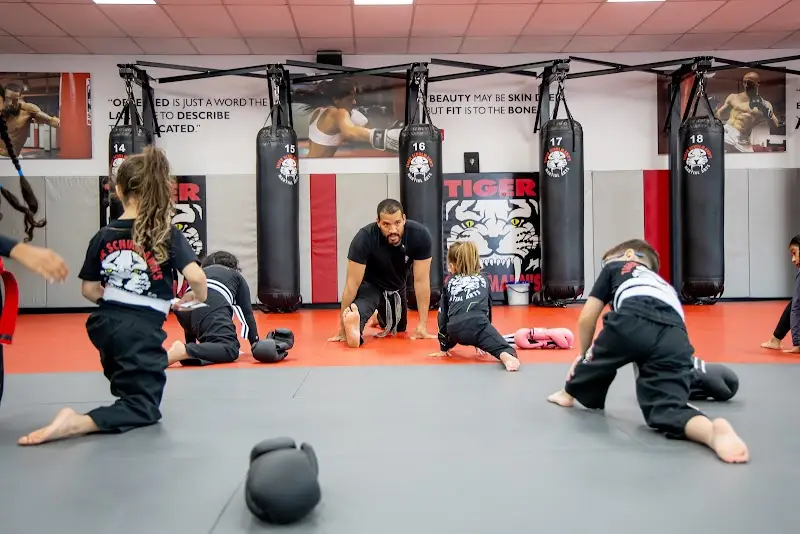 Tiger Schulmanns Martial Arts N. Plainfield, NJ BJJ Academy - photo 1