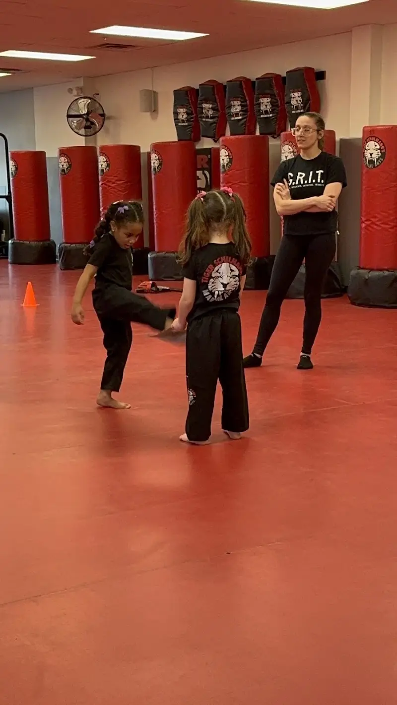 Tiger Schulmann's Martial Arts (Paramus, NJ)