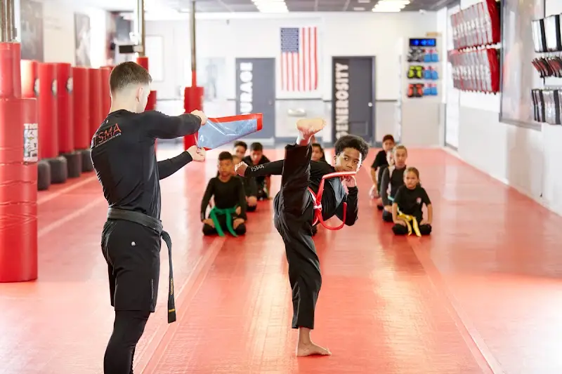 Tiger Schulmann's Martial Arts (Queens-Bellerose, NY) BJJ Academy - photo 1