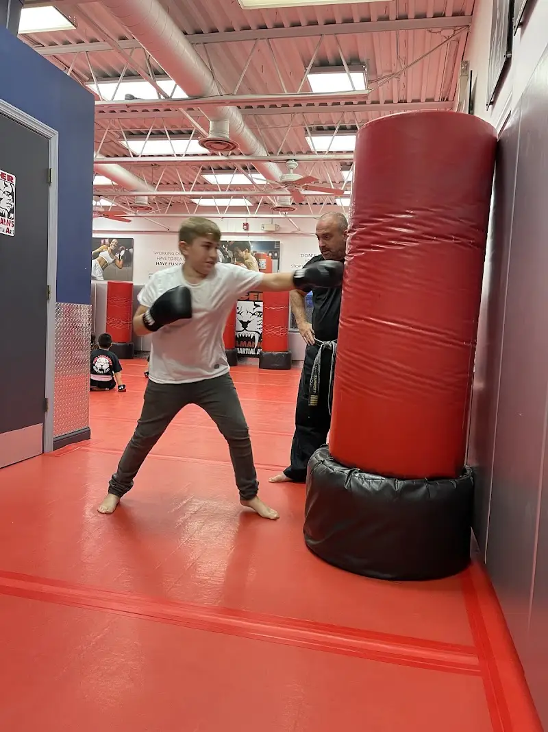 Tiger Schulmann's Martial Arts (Ramsey, NJ) BJJ Academy - photo 2