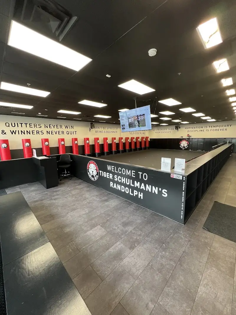 Tiger Schulmann's Martial Arts (Randolph, NJ)