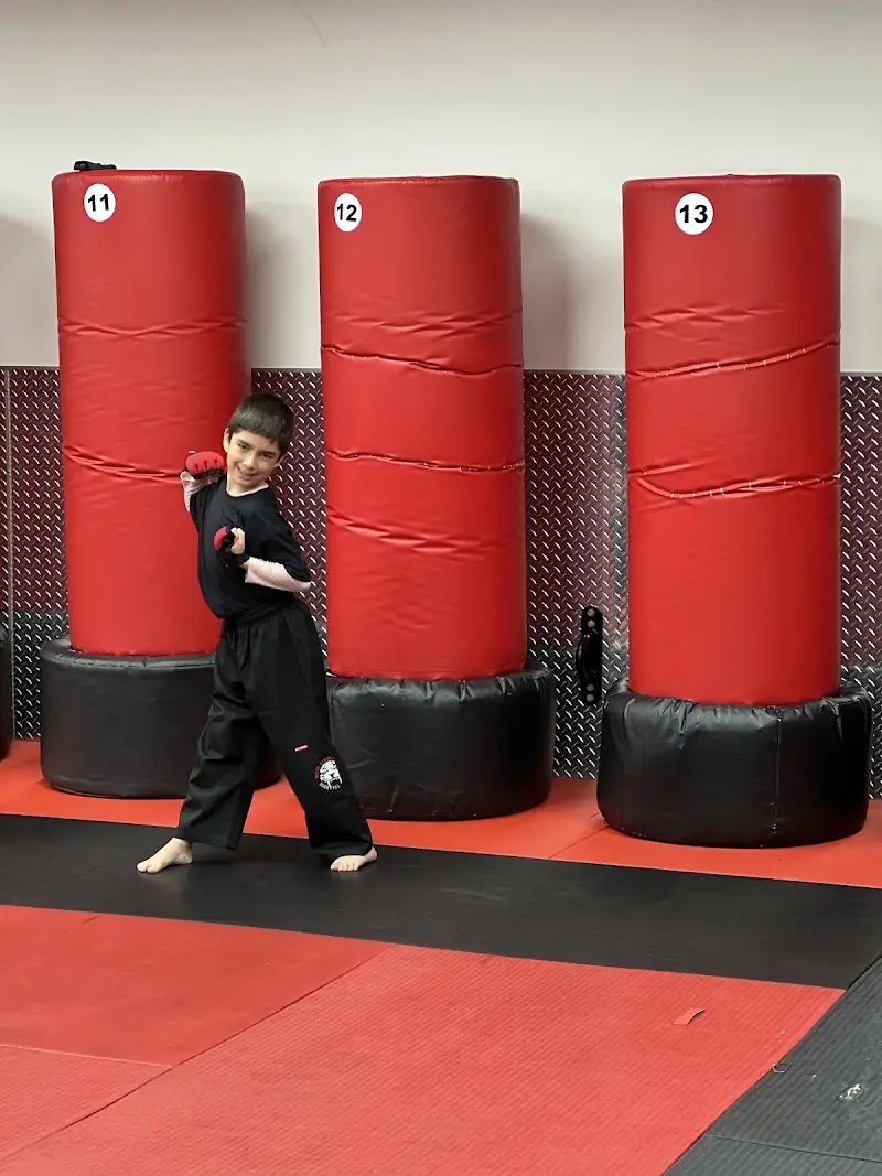 Tiger Schulmann's Martial Arts (Rego Park, NY)
