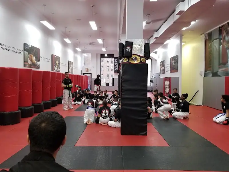 Tiger Schulmann's Martial Arts (Rego Park, NY) BJJ Academy - photo 2