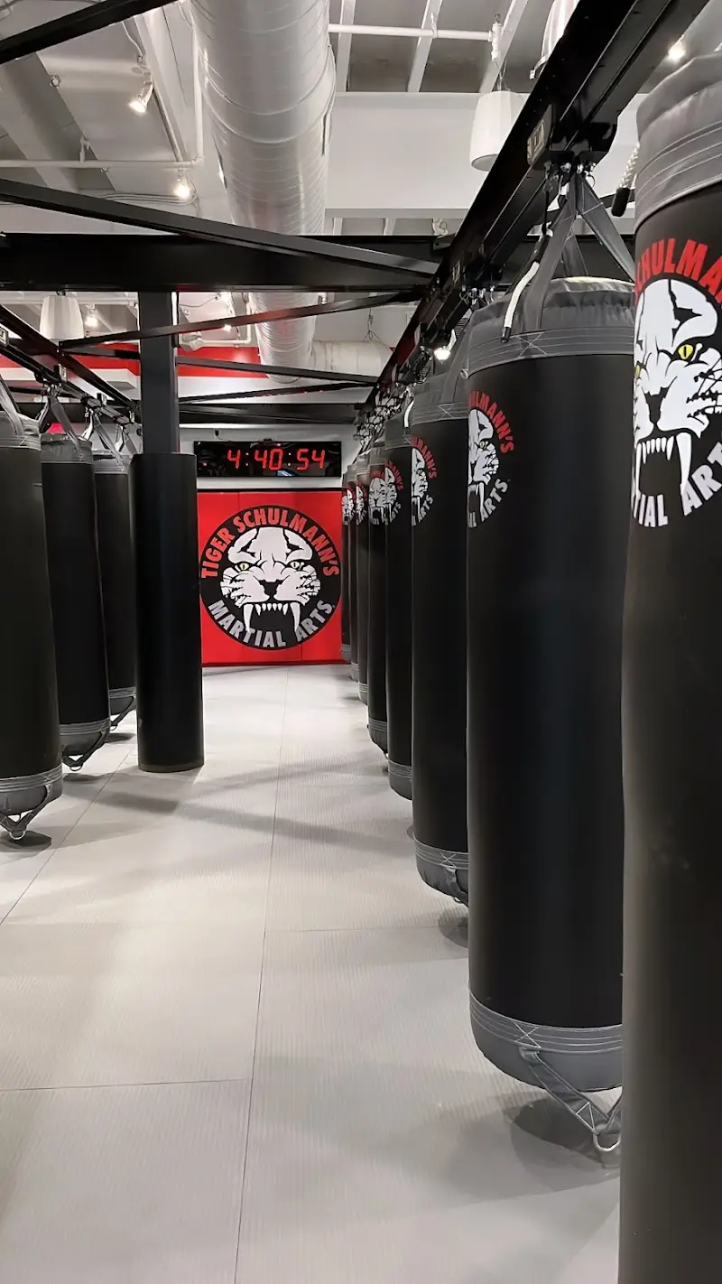 Tiger Schulmann's Martial Arts (Short Hills, NJ) BJJ Academy - photo 1