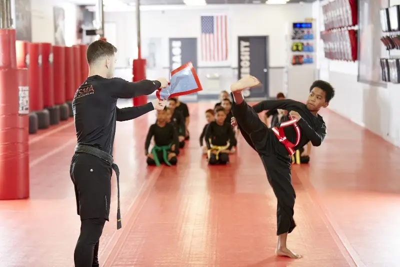 Tiger Schulmann's Martial Arts (Short Hills, NJ) BJJ Academy - photo 2