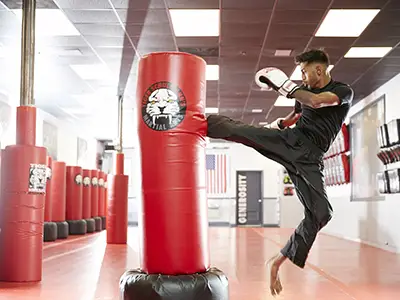Tiger Schulmann's Martial Arts (Syosset, NY)