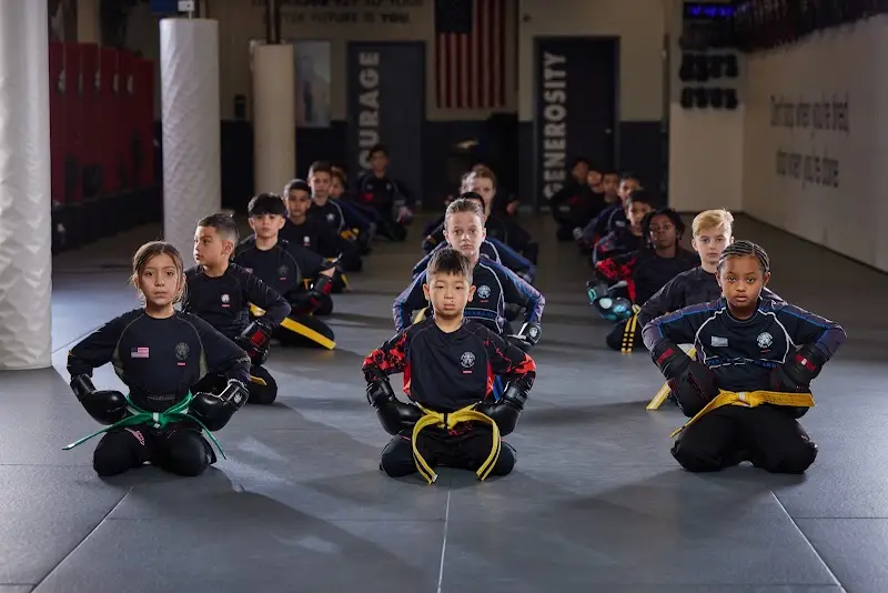 Tiger Schulmann's Martial Arts (Syosset, NY) BJJ Academy - photo 1