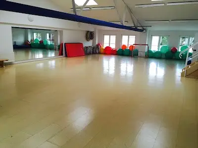Tigers Revolution Kampfsportschule Halle BJJ Academy - photo 1
