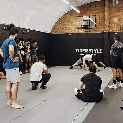 Tigerstyle MMA