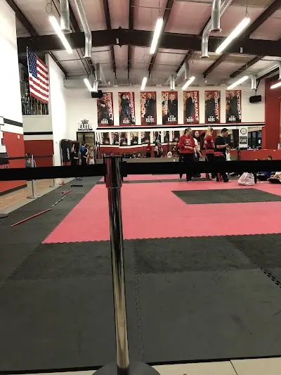 Tobin's Elite Academy of Martial Arts T.E.A.M.