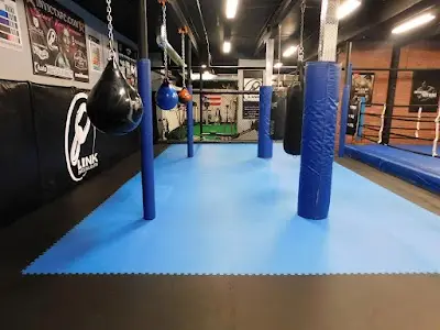 Tokyo Joe's Studios of Self Defense/Team Link NH