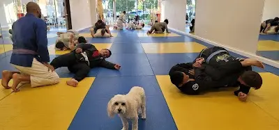 Tomacelli Academy: Brazilian Jiu-Jitsu & Mixed Martial Arts