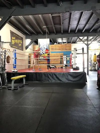 Tomacelli Academy: Brazilian Jiu-Jitsu & Mixed Martial Arts BJJ Academy - photo 3