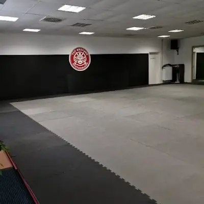 Top Brother Erkrath - BJJ Kampfsportschule in Erkrath BJJ Academy - photo 1