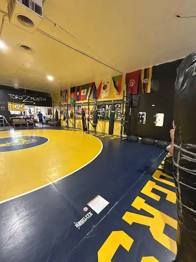Toro Z Muay Thai BJJ Academy - photo 1