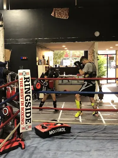 Toro Z Muay Thai BJJ Academy - photo 3