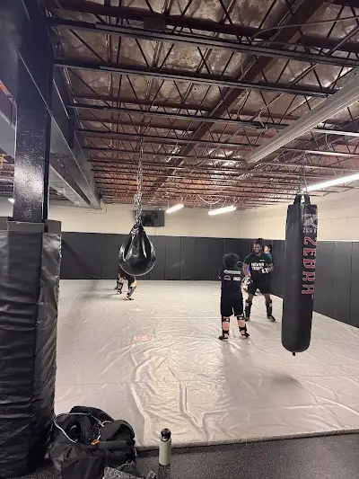 Toronto Top team BJJ Academy - photo 1