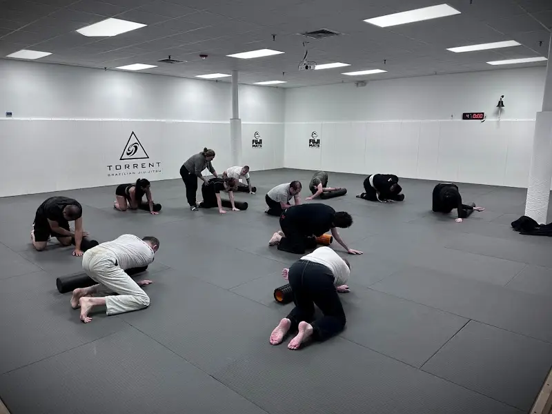 Torrent Brazilian Jiu-Jitsu BJJ Academy - photo 2
