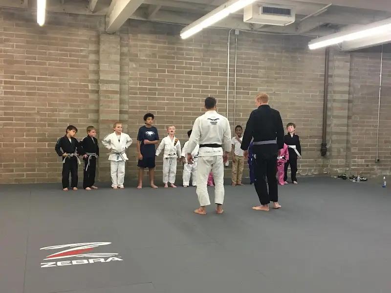 Torse House: Brazilian Jiu-Jitsu BJJ Academy - photo 2