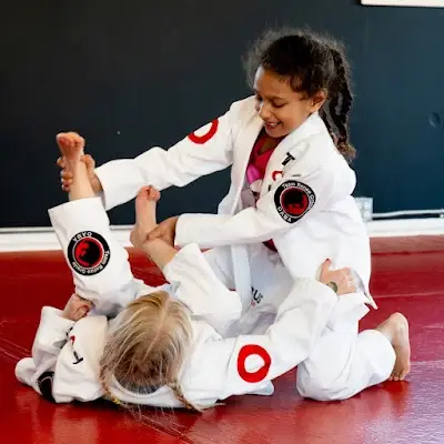 TORUS Brazilian Jiu Jitsu BJJ Academy - photo 1