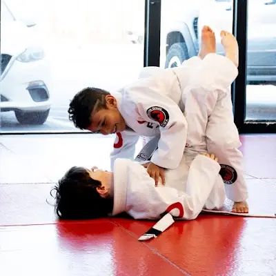 TORUS Brazilian Jiu Jitsu BJJ Academy - photo 2