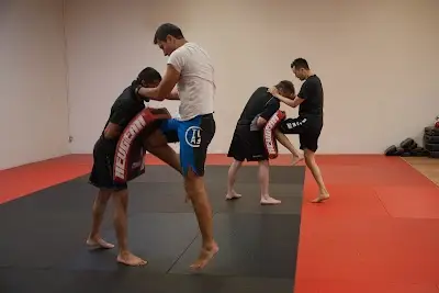 Tosetti Institute of MMA & Fitness