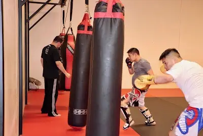 Tosetti Institute of MMA & Fitness BJJ Academy - photo 4