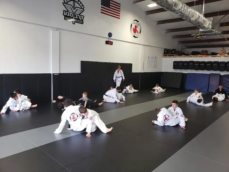 T.O.S.S. Academy / Gracie Brazilian Jiu-Jitsu BJJ Academy - photo 1