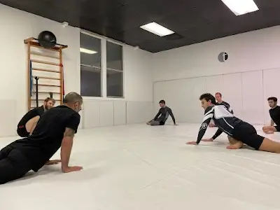 TOTAL JIU-JITSU LA BJJ Academy - photo 1