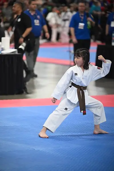 Total Taekwondo BJJ Academy - photo 4