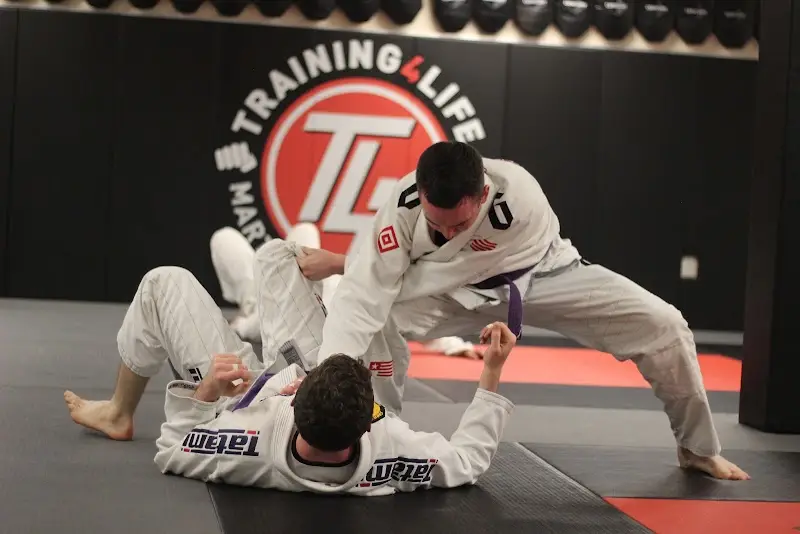 Training4Life Martial Arts Academy BJJ Academy - photo 2
