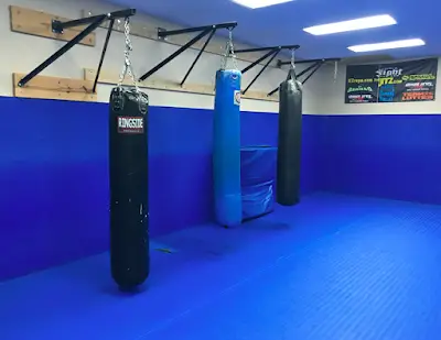 Travis Lutter Brazilian Jiu-Jitsu BJJ Academy - photo 4